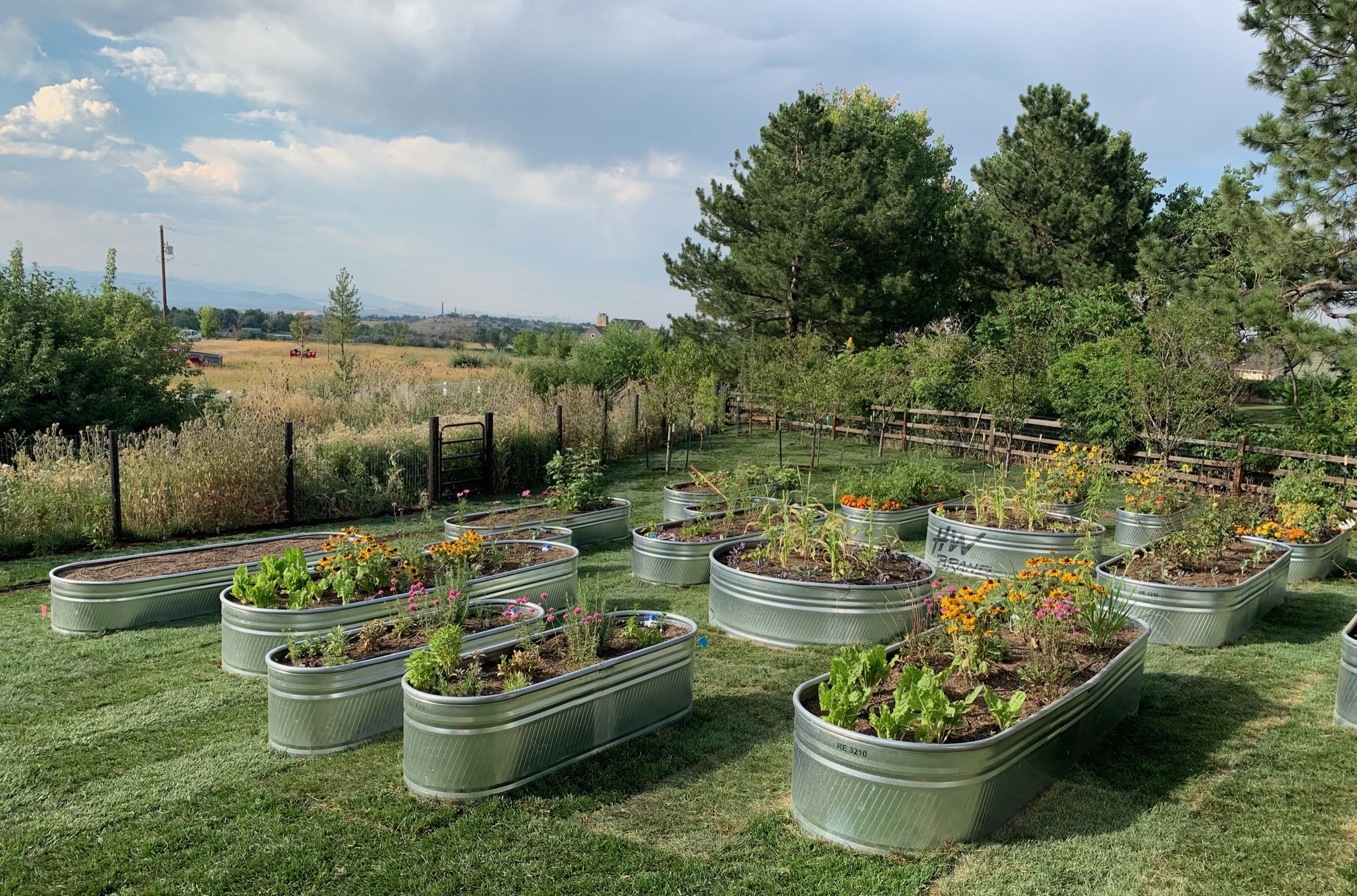 planter boxes